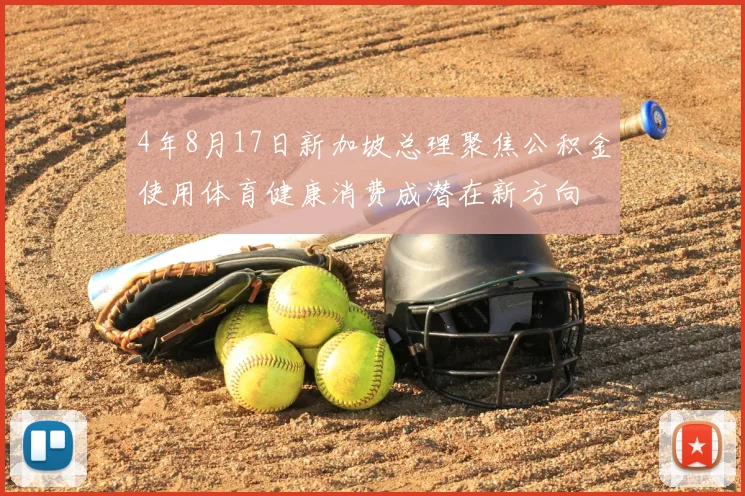 4年8月17日新加坡总理聚焦公积金使用体育健康消费成潜在新方向